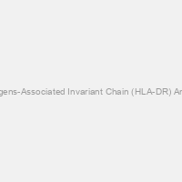 HLA-DR Antigens-Associated Invariant Chain (HLA-DR) Antibody (APC)